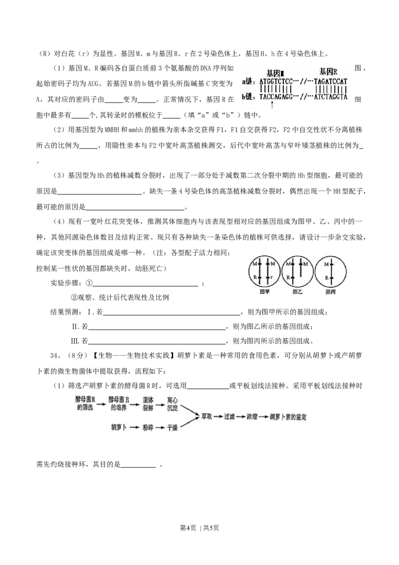 2013年高考生物试卷（山东）（空白卷）_1.高考2025全国各省真题+答案_01.2008-2024全国高考真题（按省份分类）_15.山东_2008-2024&middot;（山东）生物高考真题