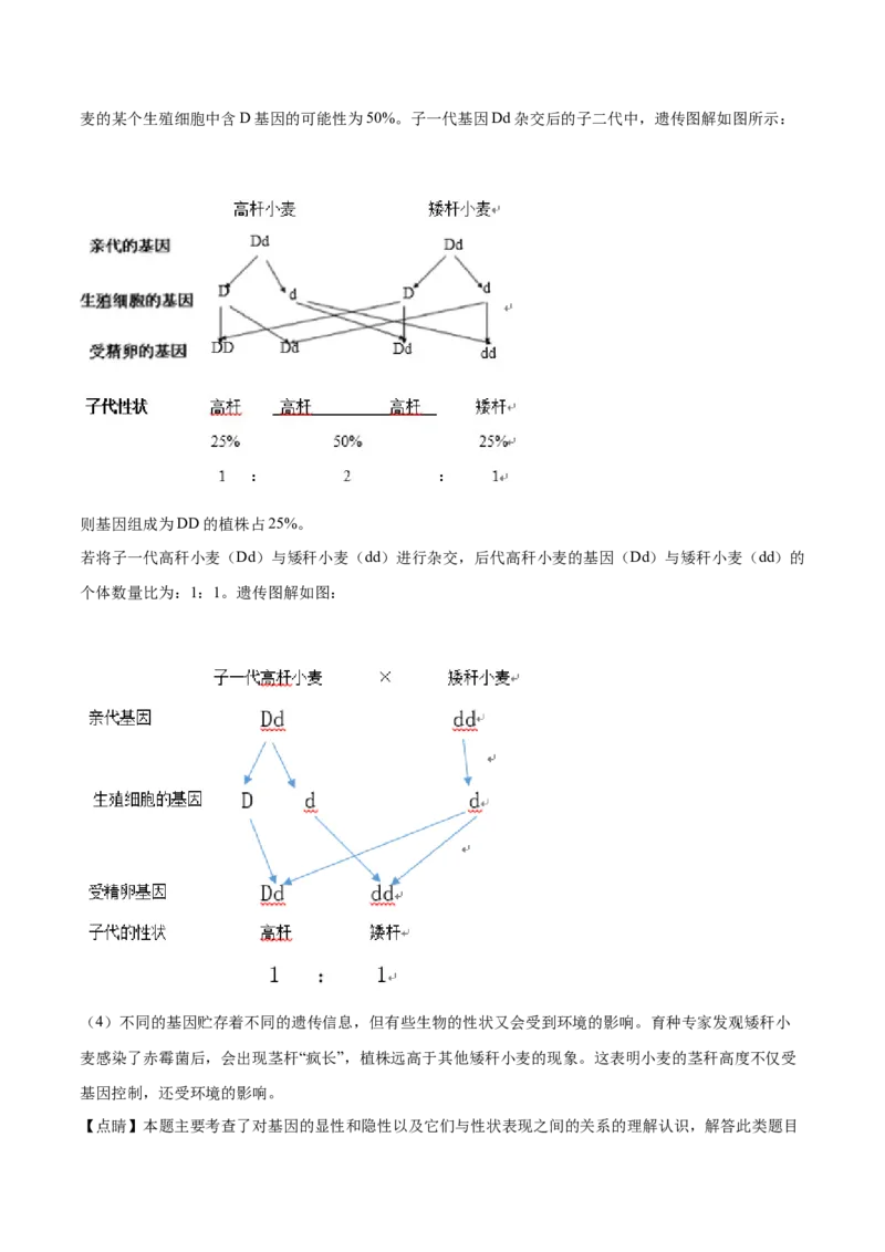 2019年广西省柳州市中考生物试题（解析）_中考真题_8.生物中考真题2015-2024年_地区卷_广西省_柳州生物2016-2020