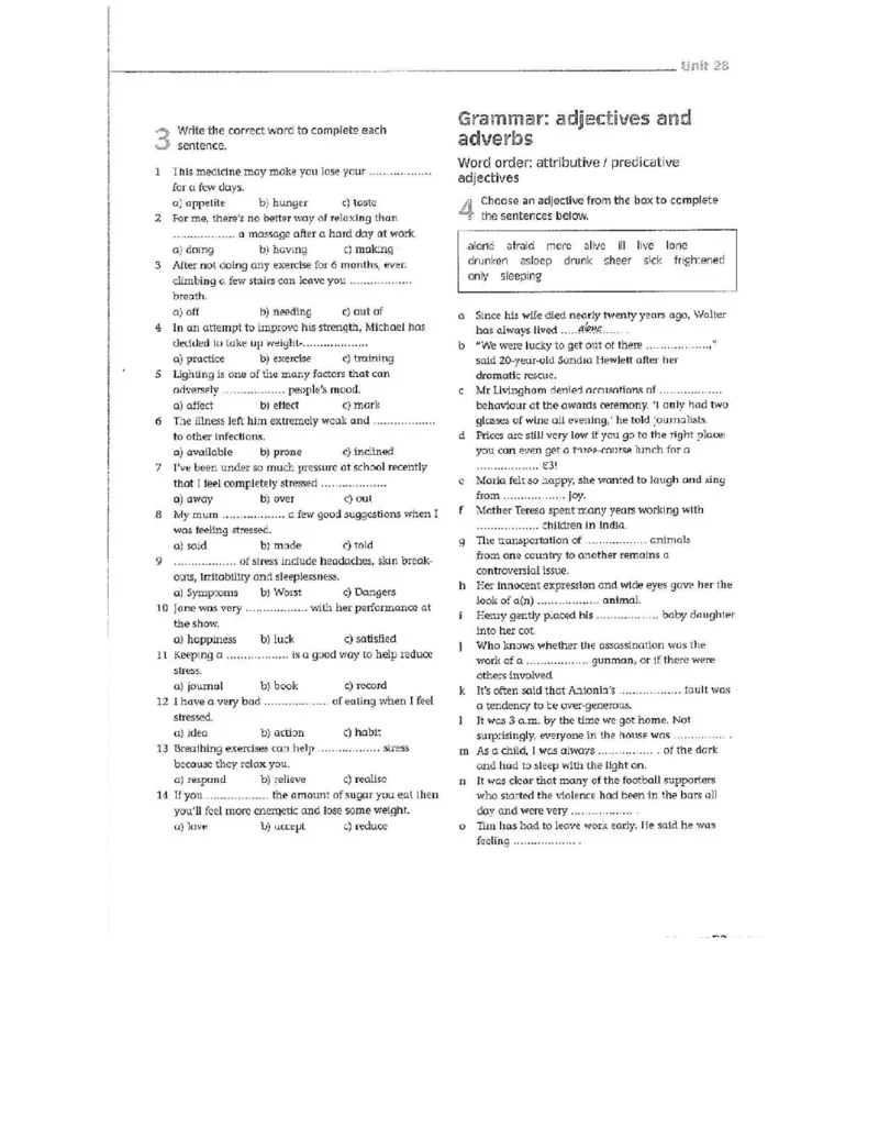 北师大版高中英语选修模块10电子课本_4-教培资料-26年最新资料-同步更新_初中高中教资_03科三专项（进去保存报考的学科即可）_02科三专项（笔记真题思维导图教学设计版本二）