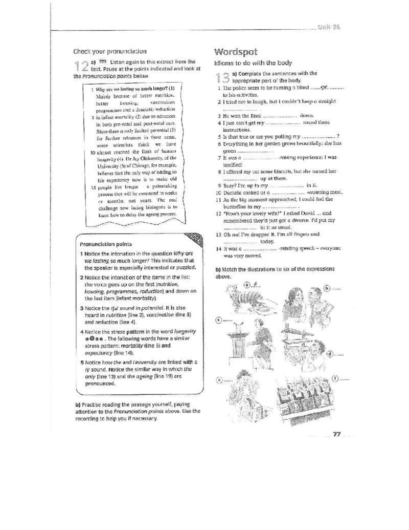 北师大版高中英语选修模块10电子课本_4-教培资料-26年最新资料-同步更新_初中高中教资_03科三专项（进去保存报考的学科即可）_02科三专项（笔记真题思维导图教学设计版本二）