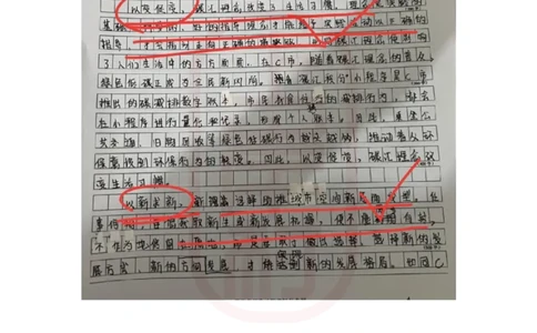 48期作业2答案_2026考公资料_（28）上岸村合集（司马、章晓铭、王永恒、天晓、忠政、丁旭等）_2025合集_4忠政合集_2024上岸村省考批改班_视频_48期