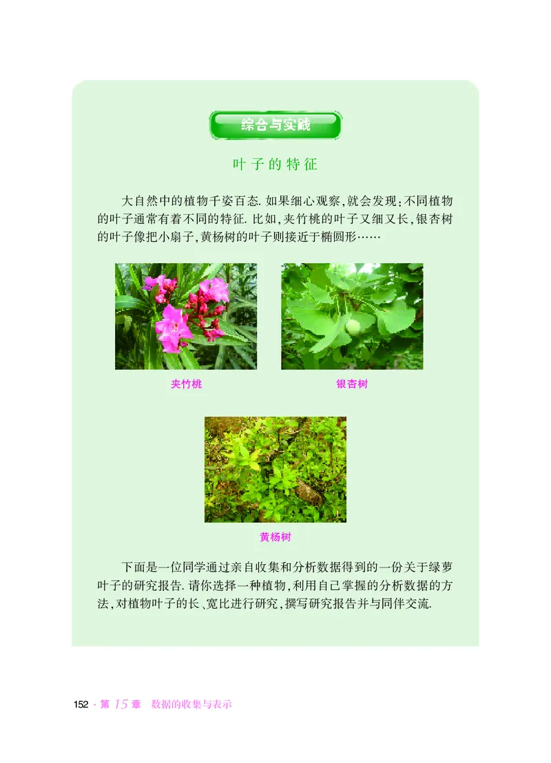 华师大8年级数学上册高清教材_4-教培资料-26年最新资料-同步更新_初中高中教资_03科三专项（进去保存报考的学科即可）_02科三专项（笔记真题思维导图教学设计版本二）