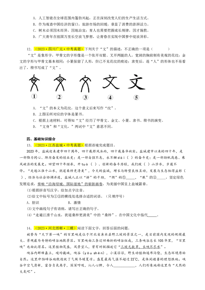 热点01字音字形（两大考点四种题型三种技巧）（全国通用）（原卷版）_120中考语文全套复习_中考语文复习总复习_二轮复习资料_完2024年中考语文专题练习（全国通用）_热点