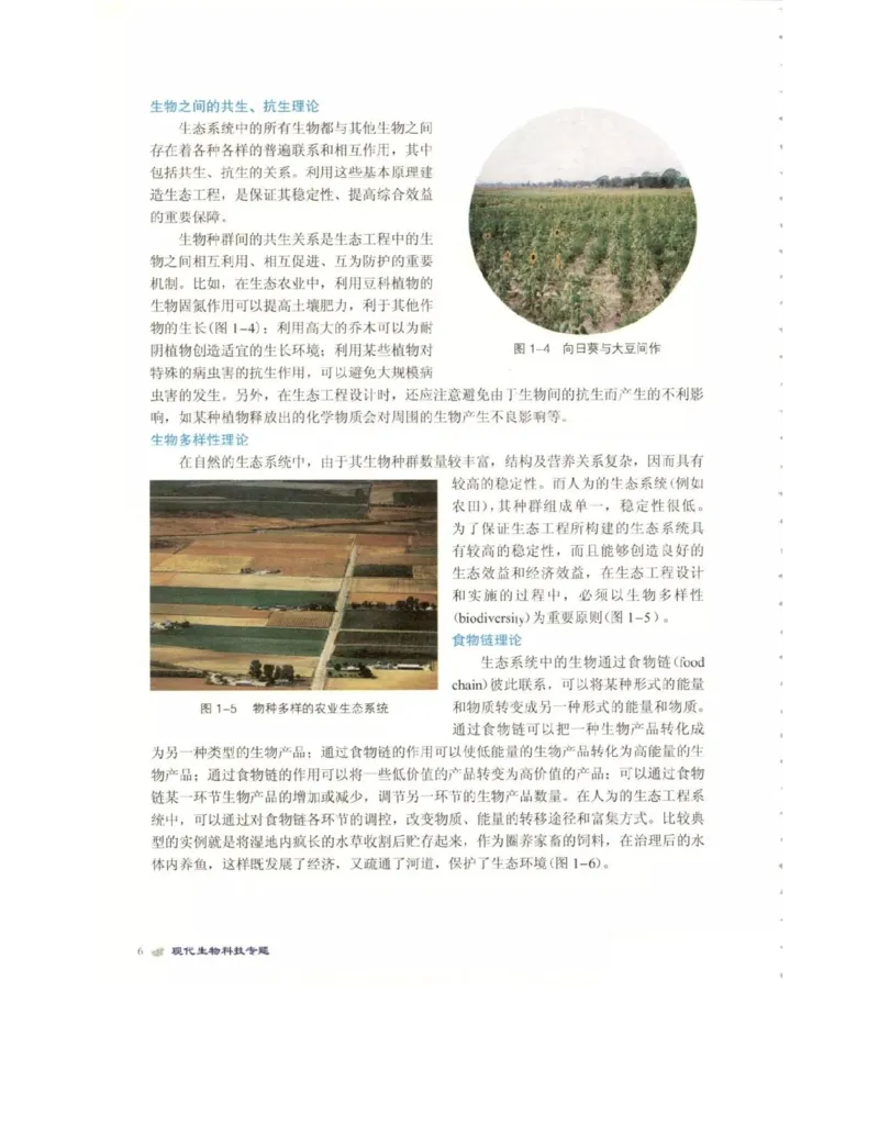 北师大版高中生物选修3电子课本_4-教培资料-26年最新资料-同步更新_初中高中教资_03科三专项（进去保存报考的学科即可）_02科三专项（笔记真题思维导图教学设计版本二）