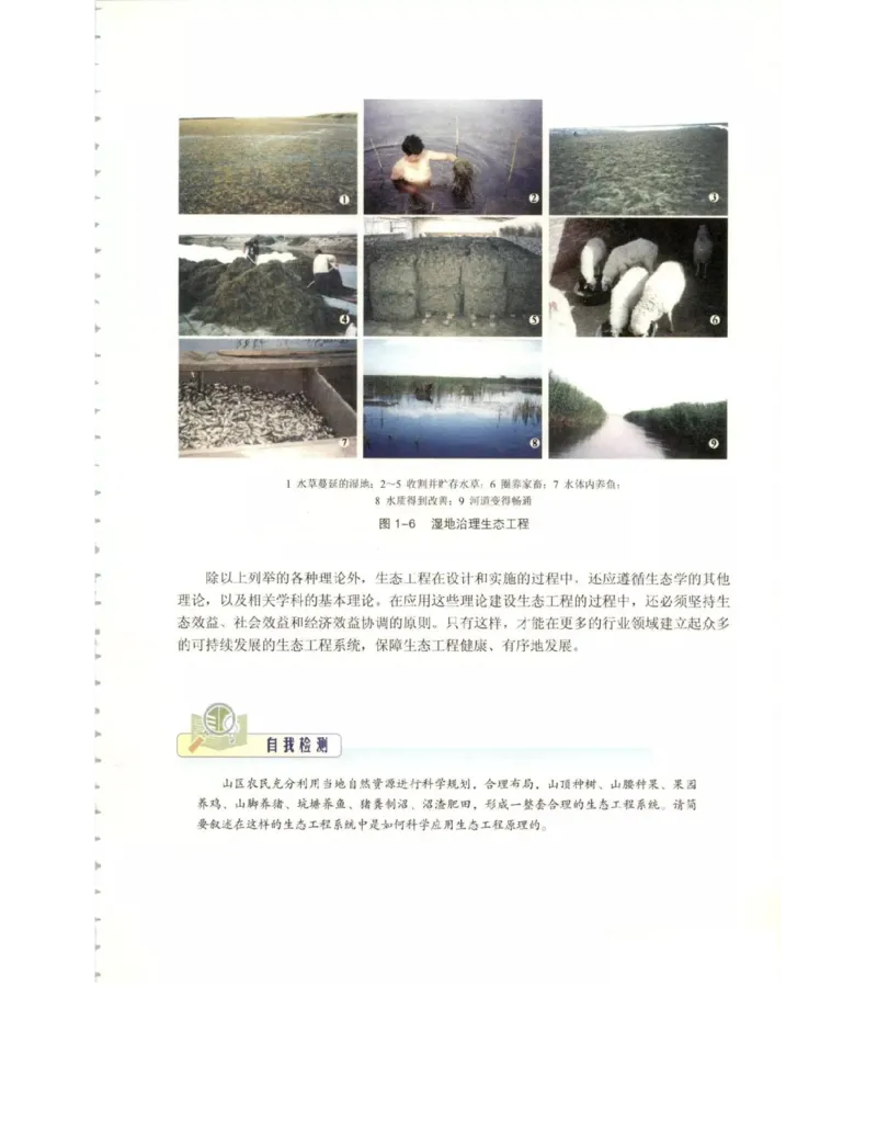 北师大版高中生物选修3电子课本_4-教培资料-26年最新资料-同步更新_初中高中教资_03科三专项（进去保存报考的学科即可）_02科三专项（笔记真题思维导图教学设计版本二）