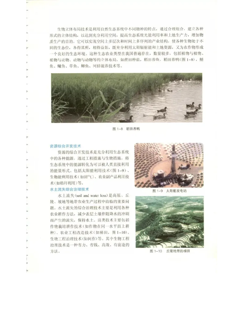 北师大版高中生物选修3电子课本_4-教培资料-26年最新资料-同步更新_初中高中教资_03科三专项（进去保存报考的学科即可）_02科三专项（笔记真题思维导图教学设计版本二）