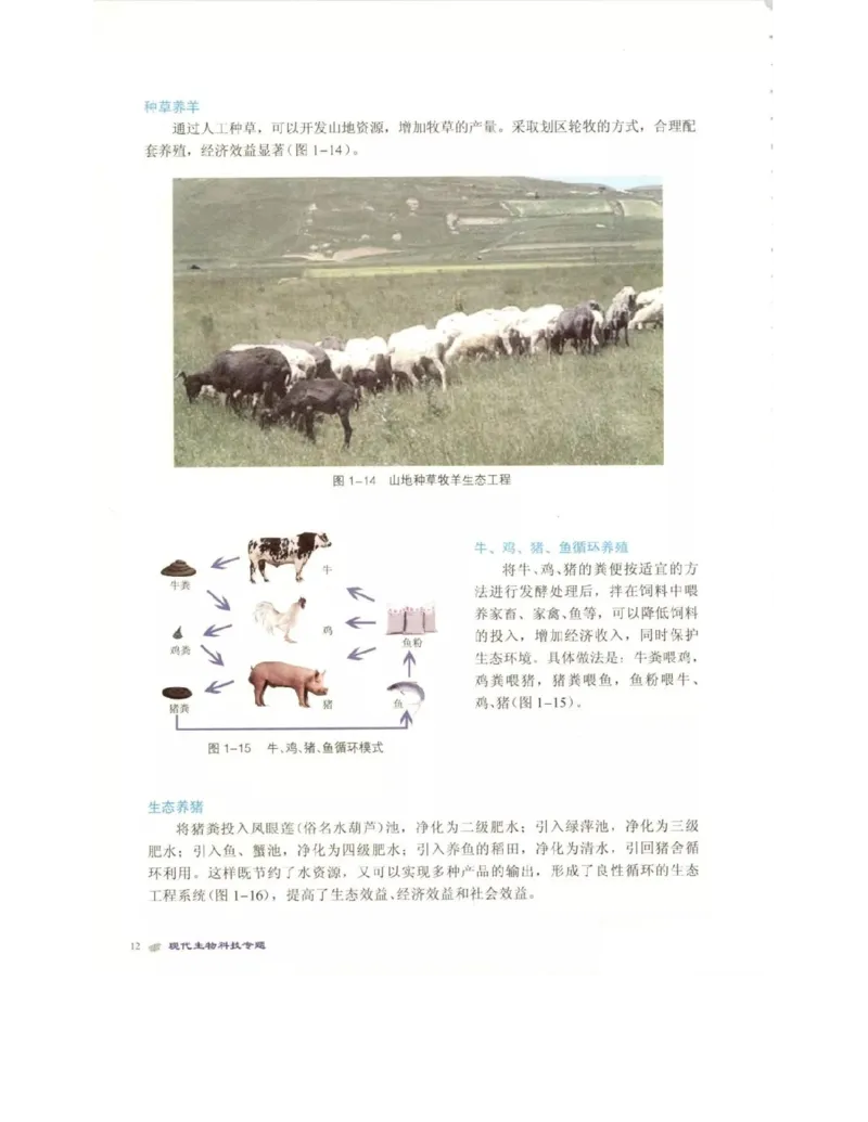 北师大版高中生物选修3电子课本_4-教培资料-26年最新资料-同步更新_初中高中教资_03科三专项（进去保存报考的学科即可）_02科三专项（笔记真题思维导图教学设计版本二）