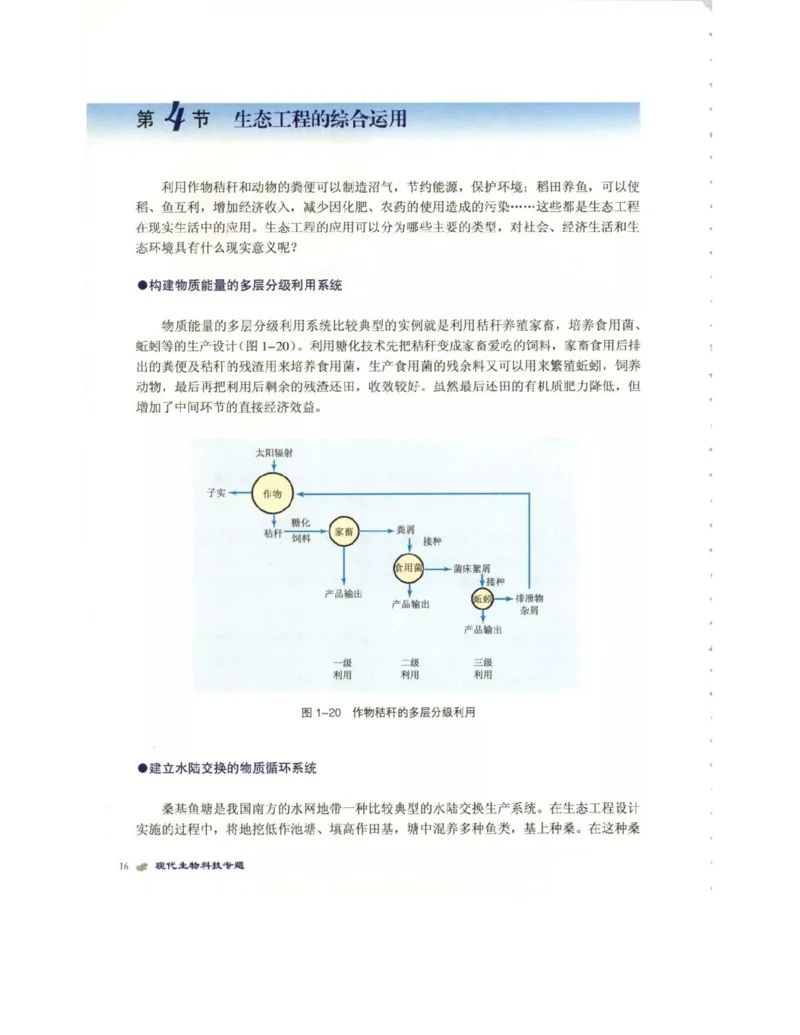 北师大版高中生物选修3电子课本_4-教培资料-26年最新资料-同步更新_初中高中教资_03科三专项（进去保存报考的学科即可）_02科三专项（笔记真题思维导图教学设计版本二）