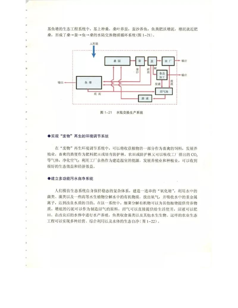 北师大版高中生物选修3电子课本_4-教培资料-26年最新资料-同步更新_初中高中教资_03科三专项（进去保存报考的学科即可）_02科三专项（笔记真题思维导图教学设计版本二）