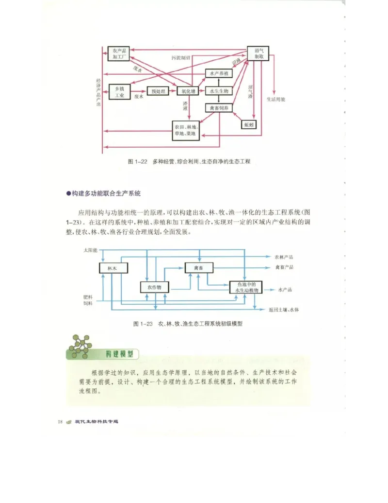 北师大版高中生物选修3电子课本_4-教培资料-26年最新资料-同步更新_初中高中教资_03科三专项（进去保存报考的学科即可）_02科三专项（笔记真题思维导图教学设计版本二）