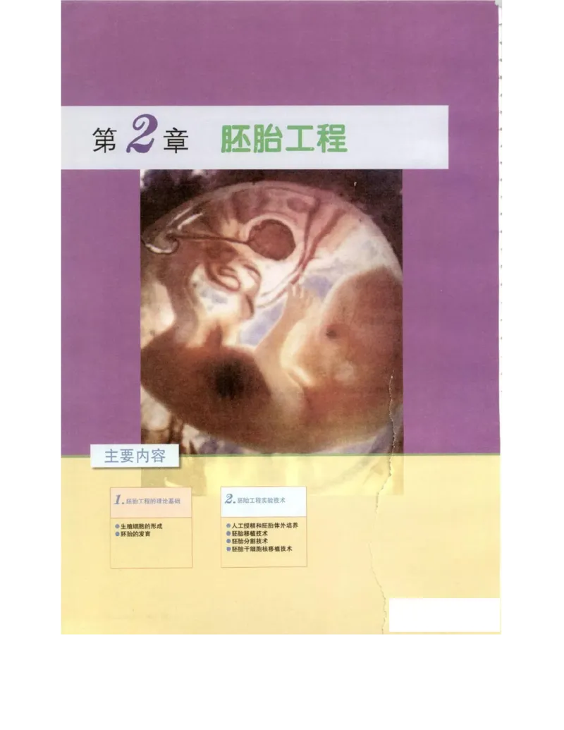 北师大版高中生物选修3电子课本_4-教培资料-26年最新资料-同步更新_初中高中教资_03科三专项（进去保存报考的学科即可）_02科三专项（笔记真题思维导图教学设计版本二）