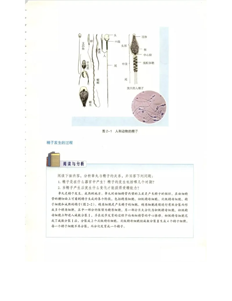 北师大版高中生物选修3电子课本_4-教培资料-26年最新资料-同步更新_初中高中教资_03科三专项（进去保存报考的学科即可）_02科三专项（笔记真题思维导图教学设计版本二）
