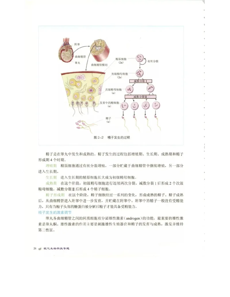 北师大版高中生物选修3电子课本_4-教培资料-26年最新资料-同步更新_初中高中教资_03科三专项（进去保存报考的学科即可）_02科三专项（笔记真题思维导图教学设计版本二）