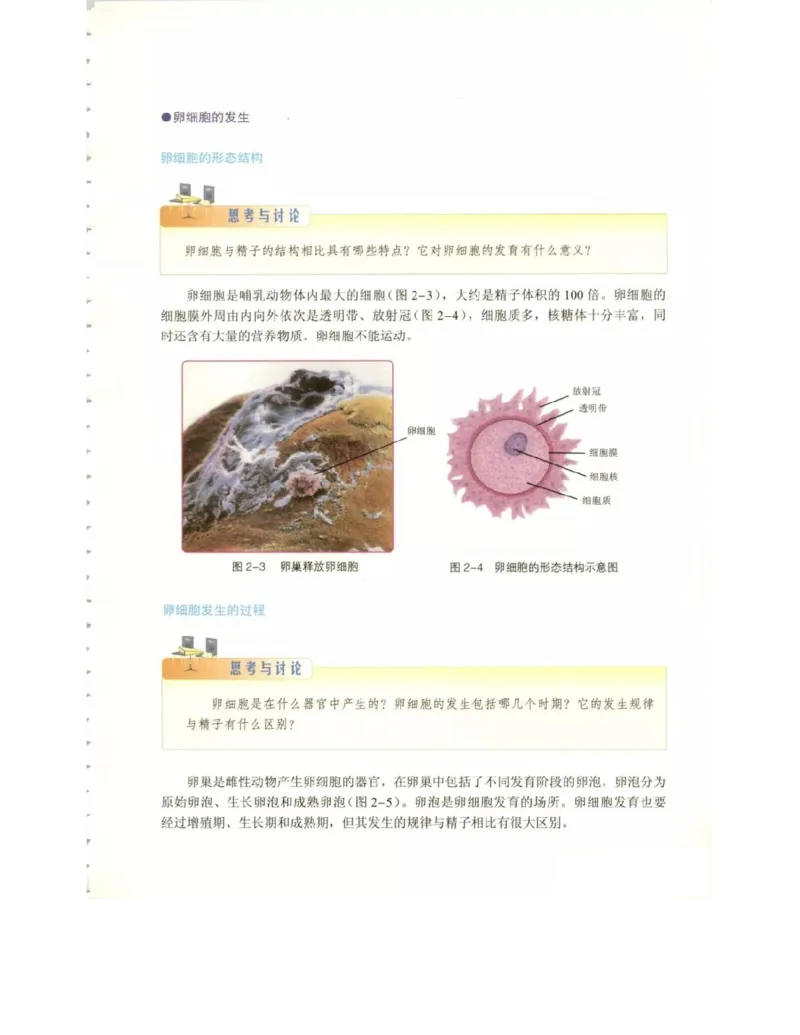 北师大版高中生物选修3电子课本_4-教培资料-26年最新资料-同步更新_初中高中教资_03科三专项（进去保存报考的学科即可）_02科三专项（笔记真题思维导图教学设计版本二）