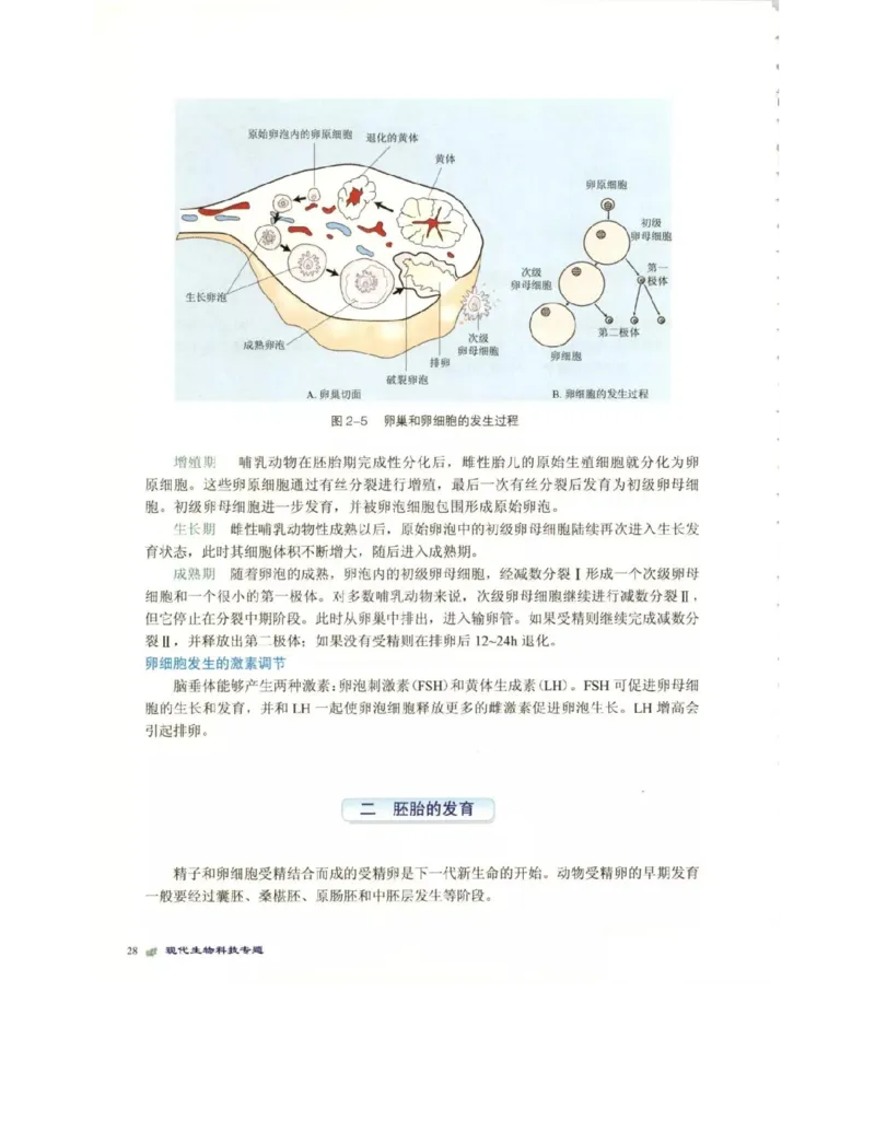 北师大版高中生物选修3电子课本_4-教培资料-26年最新资料-同步更新_初中高中教资_03科三专项（进去保存报考的学科即可）_02科三专项（笔记真题思维导图教学设计版本二）