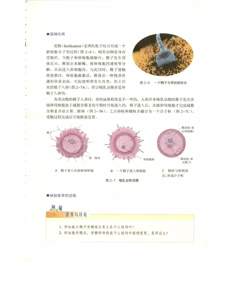 北师大版高中生物选修3电子课本_4-教培资料-26年最新资料-同步更新_初中高中教资_03科三专项（进去保存报考的学科即可）_02科三专项（笔记真题思维导图教学设计版本二）