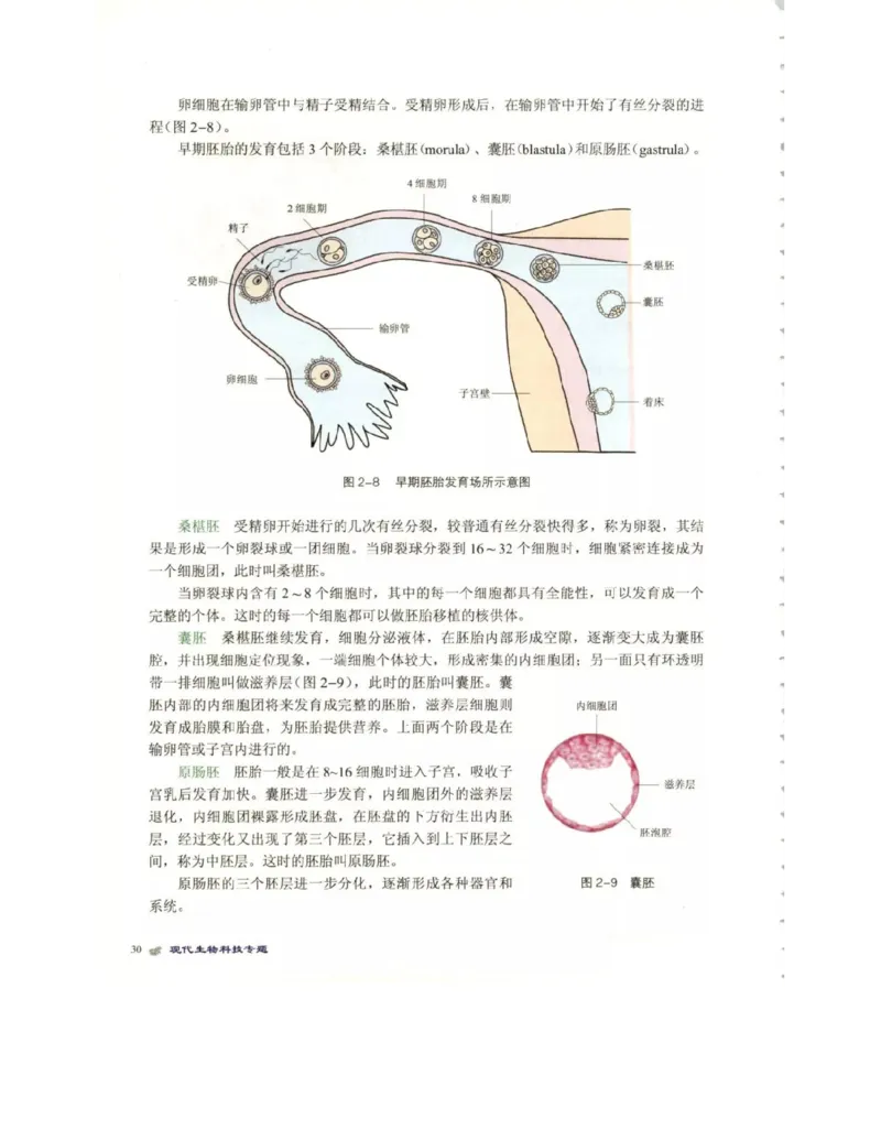 北师大版高中生物选修3电子课本_4-教培资料-26年最新资料-同步更新_初中高中教资_03科三专项（进去保存报考的学科即可）_02科三专项（笔记真题思维导图教学设计版本二）