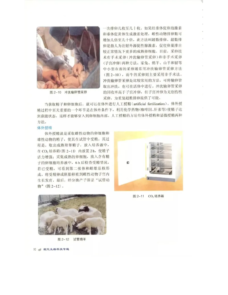 北师大版高中生物选修3电子课本_4-教培资料-26年最新资料-同步更新_初中高中教资_03科三专项（进去保存报考的学科即可）_02科三专项（笔记真题思维导图教学设计版本二）
