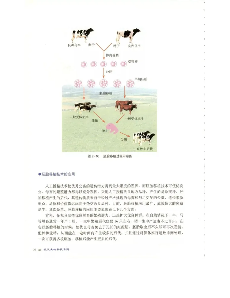 北师大版高中生物选修3电子课本_4-教培资料-26年最新资料-同步更新_初中高中教资_03科三专项（进去保存报考的学科即可）_02科三专项（笔记真题思维导图教学设计版本二）