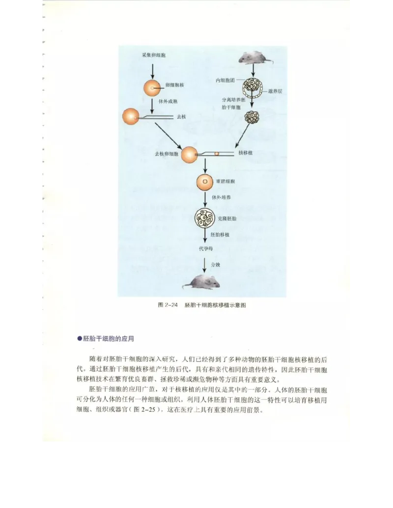 北师大版高中生物选修3电子课本_4-教培资料-26年最新资料-同步更新_初中高中教资_03科三专项（进去保存报考的学科即可）_02科三专项（笔记真题思维导图教学设计版本二）