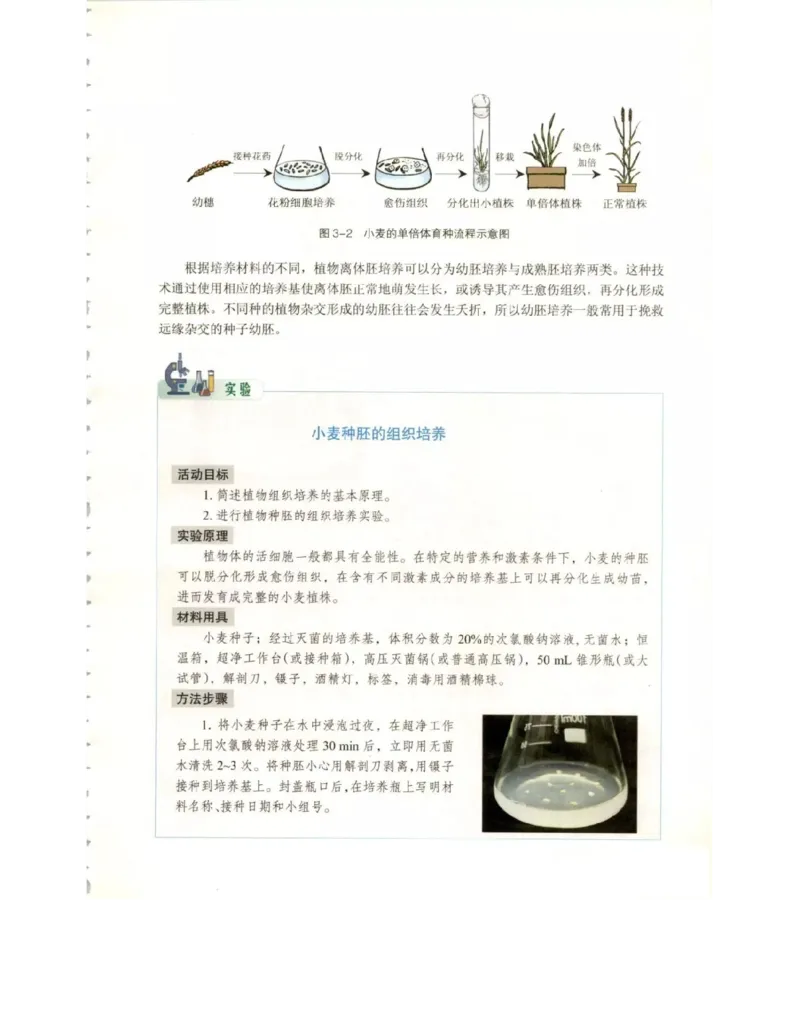 北师大版高中生物选修3电子课本_4-教培资料-26年最新资料-同步更新_初中高中教资_03科三专项（进去保存报考的学科即可）_02科三专项（笔记真题思维导图教学设计版本二）