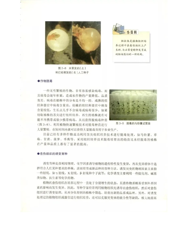 北师大版高中生物选修3电子课本_4-教培资料-26年最新资料-同步更新_初中高中教资_03科三专项（进去保存报考的学科即可）_02科三专项（笔记真题思维导图教学设计版本二）