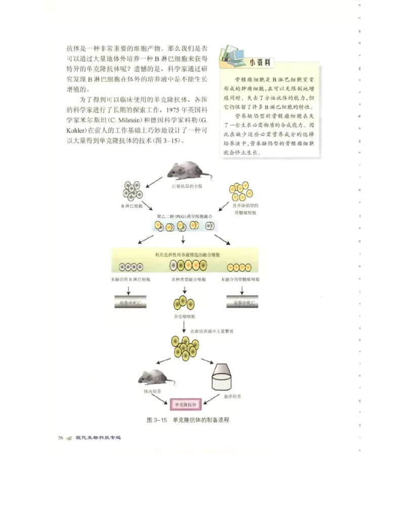 北师大版高中生物选修3电子课本_4-教培资料-26年最新资料-同步更新_初中高中教资_03科三专项（进去保存报考的学科即可）_02科三专项（笔记真题思维导图教学设计版本二）