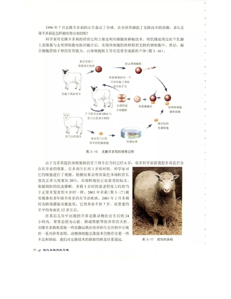 北师大版高中生物选修3电子课本_4-教培资料-26年最新资料-同步更新_初中高中教资_03科三专项（进去保存报考的学科即可）_02科三专项（笔记真题思维导图教学设计版本二）