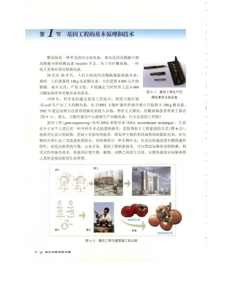 北师大版高中生物选修3电子课本_4-教培资料-26年最新资料-同步更新_初中高中教资_03科三专项（进去保存报考的学科即可）_02科三专项（笔记真题思维导图教学设计版本二）