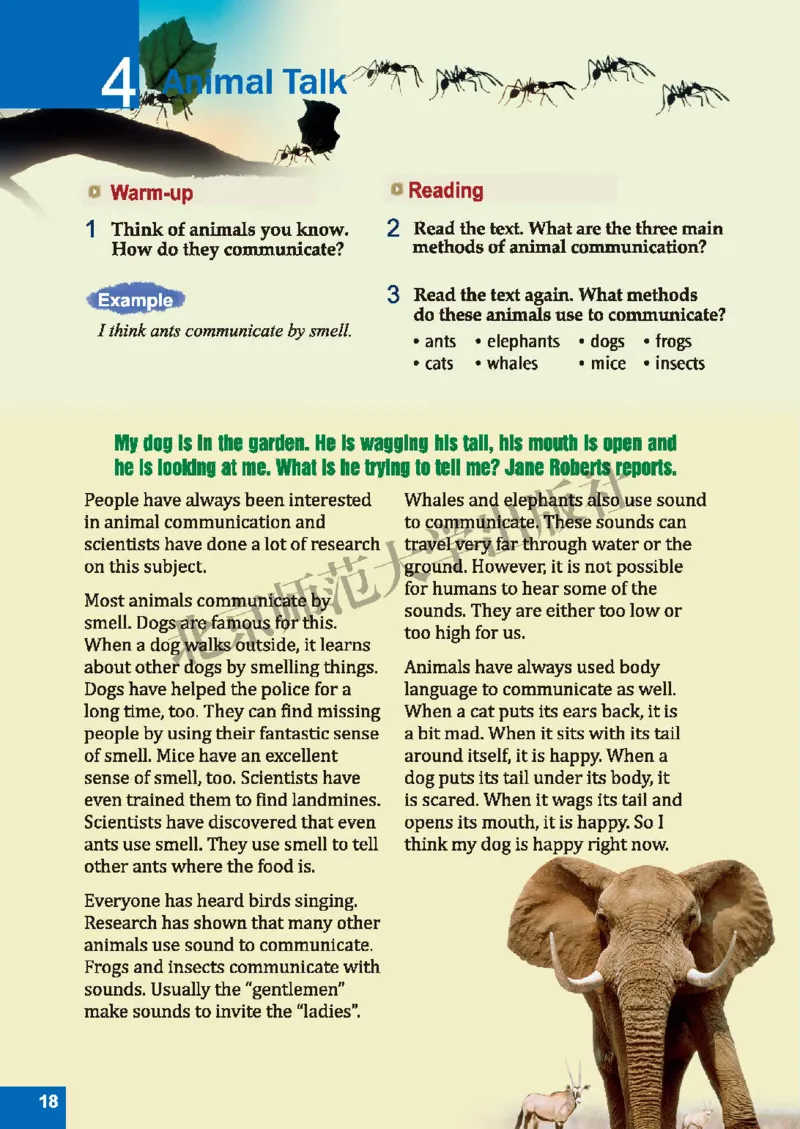 北师大8年级英语下册高清教材_4-教培资料-26年最新资料-同步更新_初中高中教资_03科三专项（进去保存报考的学科即可）_02科三专项（笔记真题思维导图教学设计版本二）