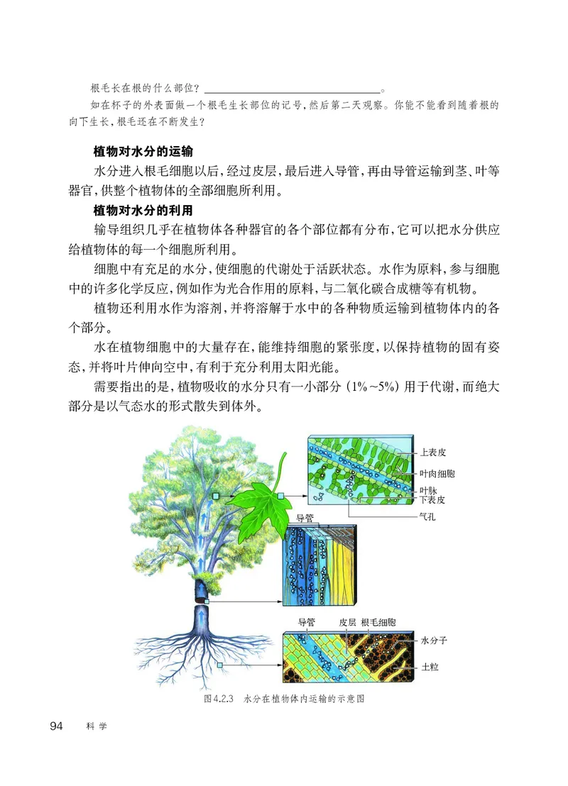 华师大8年级科学上册高清教材_4-教培资料-26年最新资料-同步更新_初中高中教资_03科三专项（进去保存报考的学科即可）_02科三专项（笔记真题思维导图教学设计版本二）