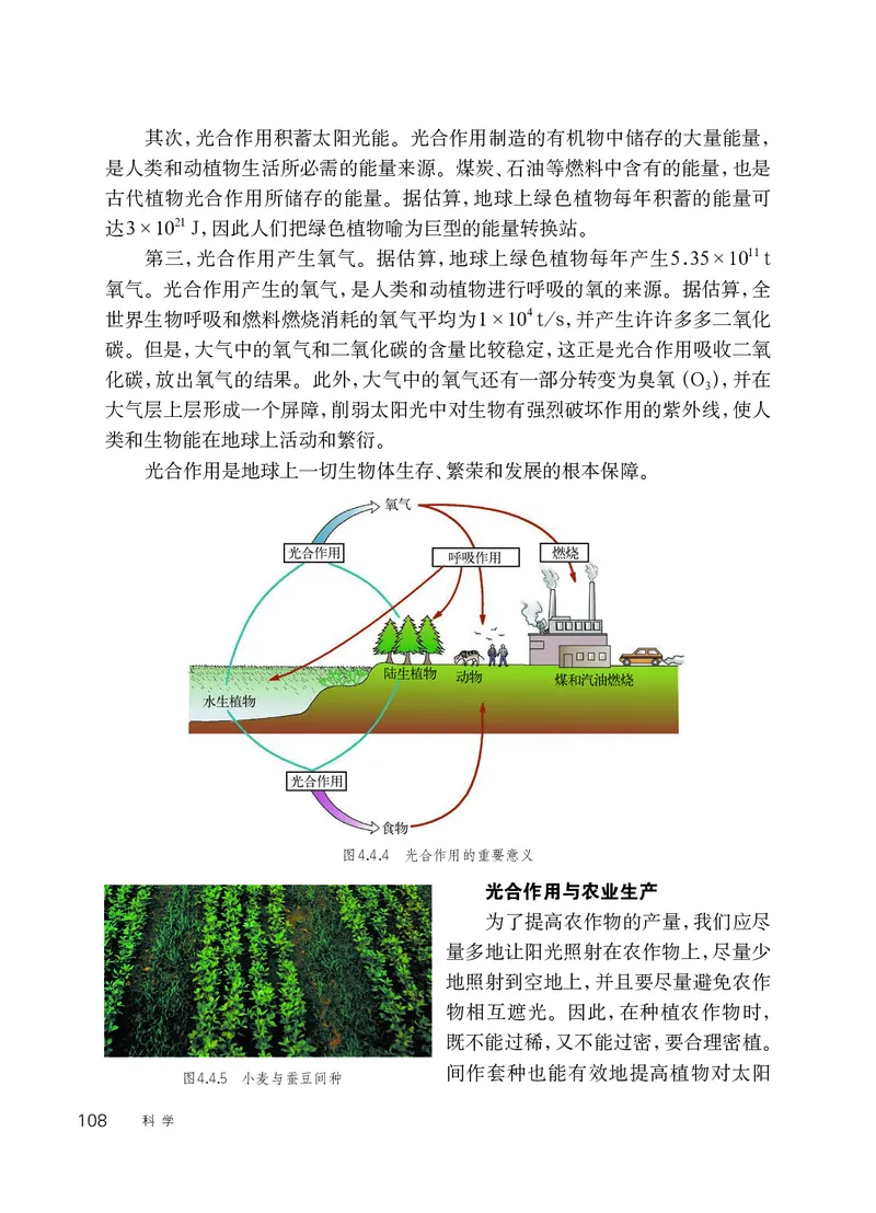 华师大8年级科学上册高清教材_4-教培资料-26年最新资料-同步更新_初中高中教资_03科三专项（进去保存报考的学科即可）_02科三专项（笔记真题思维导图教学设计版本二）