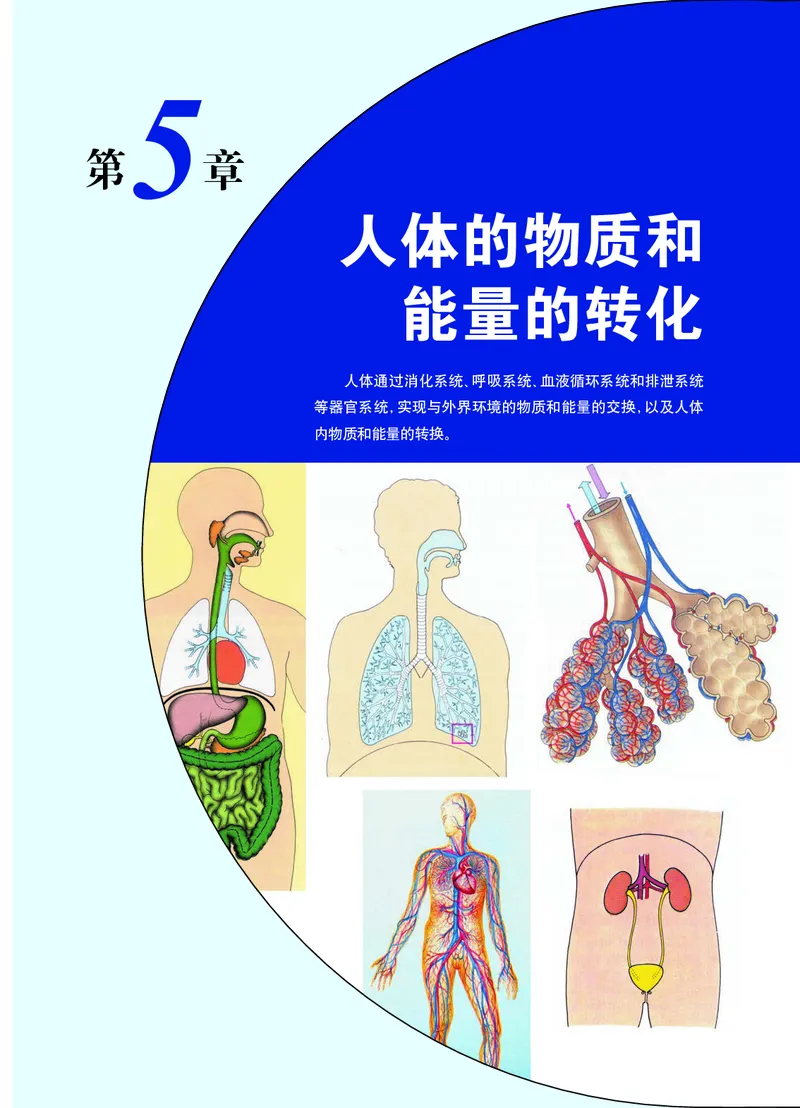 华师大8年级科学上册高清教材_4-教培资料-26年最新资料-同步更新_初中高中教资_03科三专项（进去保存报考的学科即可）_02科三专项（笔记真题思维导图教学设计版本二）