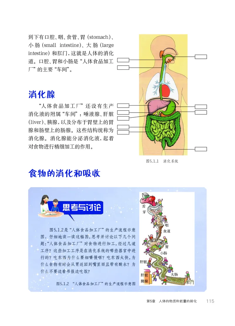 华师大8年级科学上册高清教材_4-教培资料-26年最新资料-同步更新_初中高中教资_03科三专项（进去保存报考的学科即可）_02科三专项（笔记真题思维导图教学设计版本二）