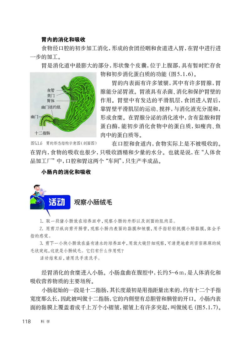 华师大8年级科学上册高清教材_4-教培资料-26年最新资料-同步更新_初中高中教资_03科三专项（进去保存报考的学科即可）_02科三专项（笔记真题思维导图教学设计版本二）
