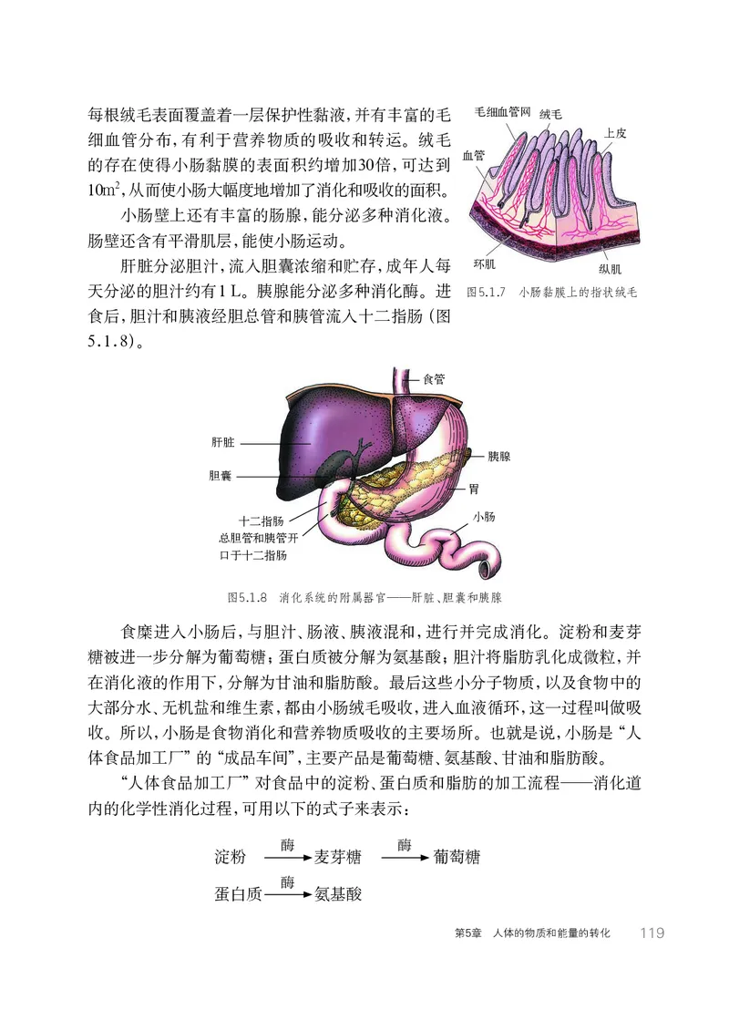 华师大8年级科学上册高清教材_4-教培资料-26年最新资料-同步更新_初中高中教资_03科三专项（进去保存报考的学科即可）_02科三专项（笔记真题思维导图教学设计版本二）