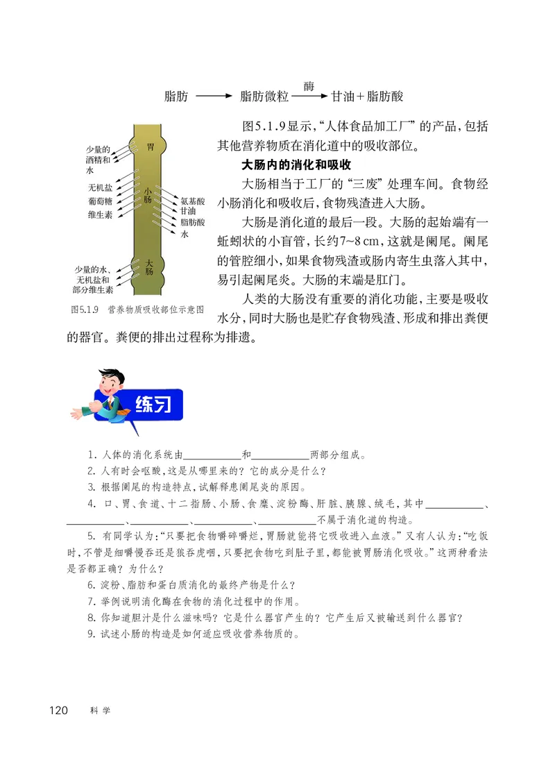 华师大8年级科学上册高清教材_4-教培资料-26年最新资料-同步更新_初中高中教资_03科三专项（进去保存报考的学科即可）_02科三专项（笔记真题思维导图教学设计版本二）