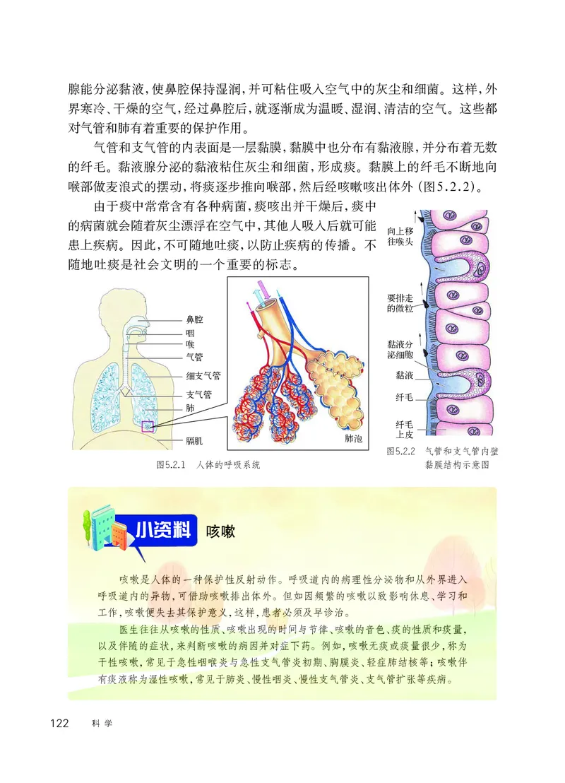 华师大8年级科学上册高清教材_4-教培资料-26年最新资料-同步更新_初中高中教资_03科三专项（进去保存报考的学科即可）_02科三专项（笔记真题思维导图教学设计版本二）