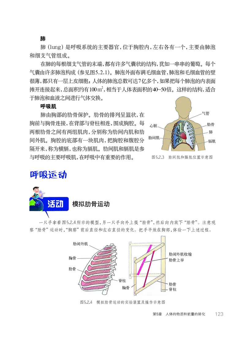 华师大8年级科学上册高清教材_4-教培资料-26年最新资料-同步更新_初中高中教资_03科三专项（进去保存报考的学科即可）_02科三专项（笔记真题思维导图教学设计版本二）
