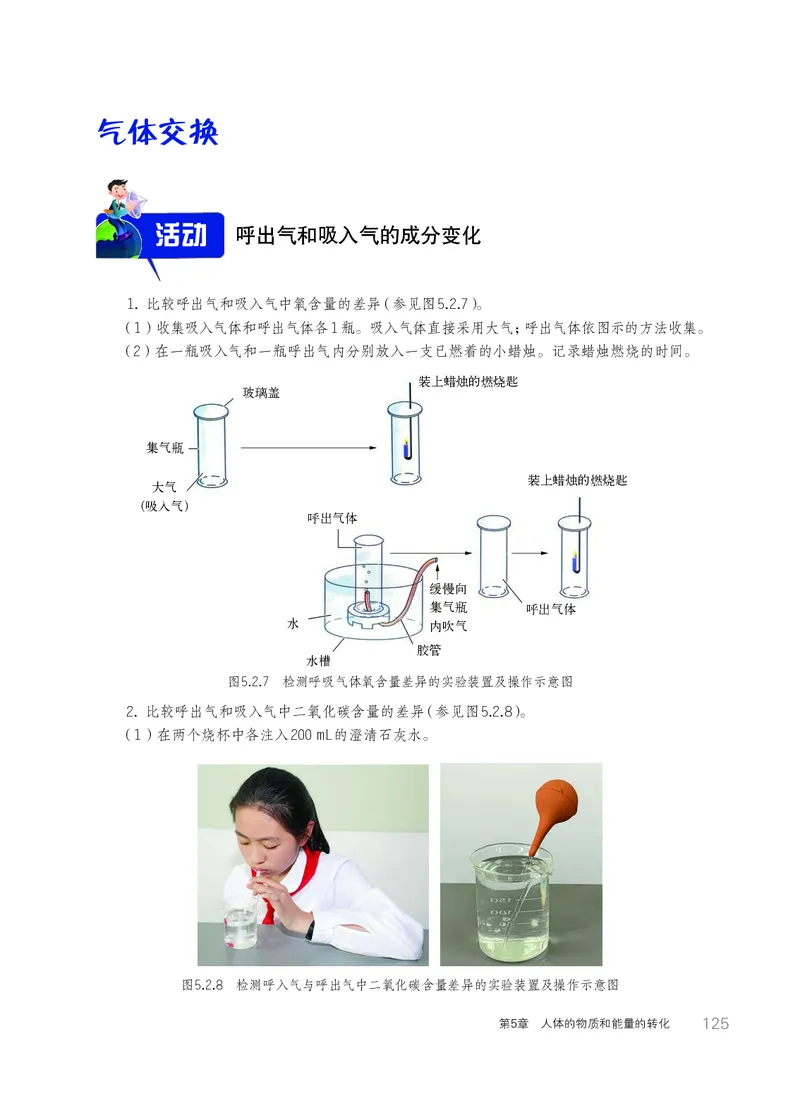华师大8年级科学上册高清教材_4-教培资料-26年最新资料-同步更新_初中高中教资_03科三专项（进去保存报考的学科即可）_02科三专项（笔记真题思维导图教学设计版本二）