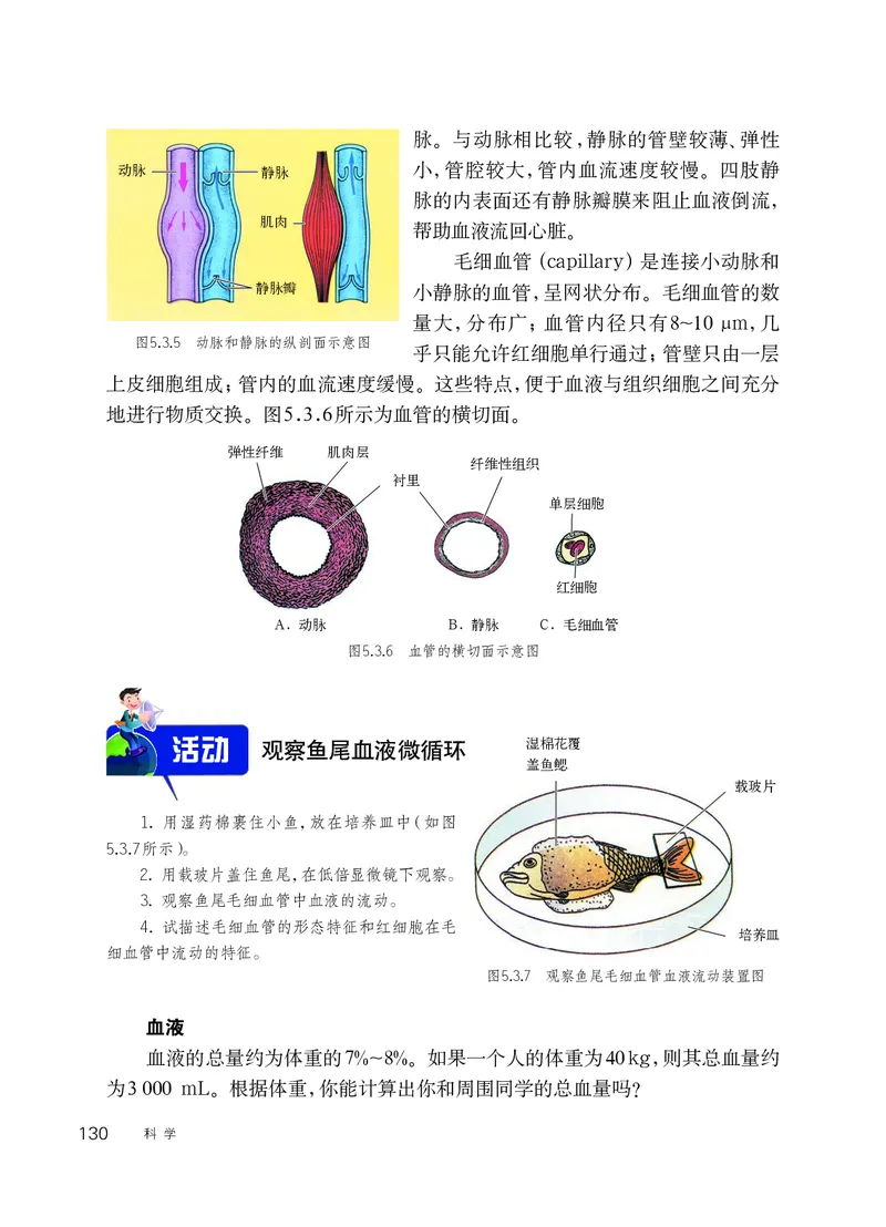 华师大8年级科学上册高清教材_4-教培资料-26年最新资料-同步更新_初中高中教资_03科三专项（进去保存报考的学科即可）_02科三专项（笔记真题思维导图教学设计版本二）
