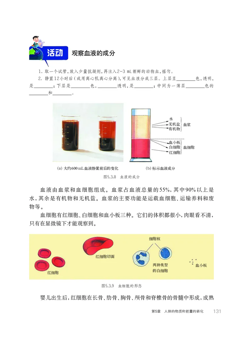 华师大8年级科学上册高清教材_4-教培资料-26年最新资料-同步更新_初中高中教资_03科三专项（进去保存报考的学科即可）_02科三专项（笔记真题思维导图教学设计版本二）