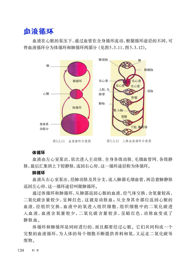 华师大8年级科学上册高清教材_4-教培资料-26年最新资料-同步更新_初中高中教资_03科三专项（进去保存报考的学科即可）_02科三专项（笔记真题思维导图教学设计版本二）