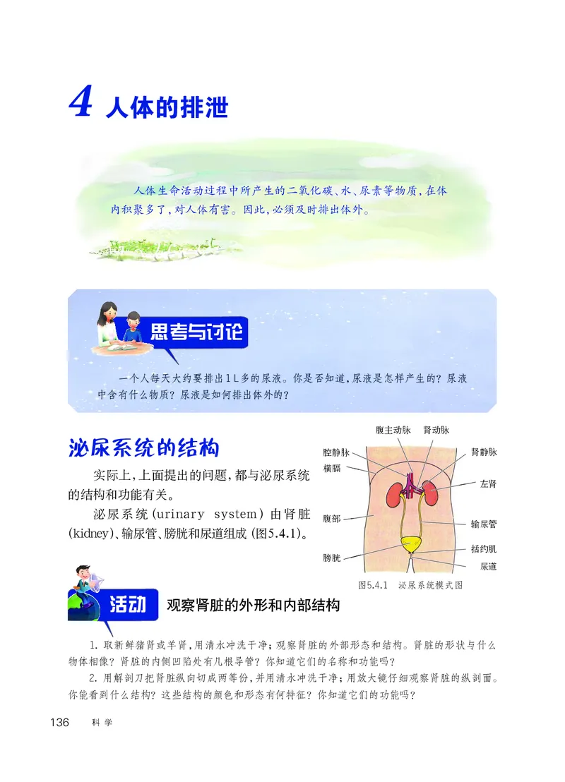 华师大8年级科学上册高清教材_4-教培资料-26年最新资料-同步更新_初中高中教资_03科三专项（进去保存报考的学科即可）_02科三专项（笔记真题思维导图教学设计版本二）