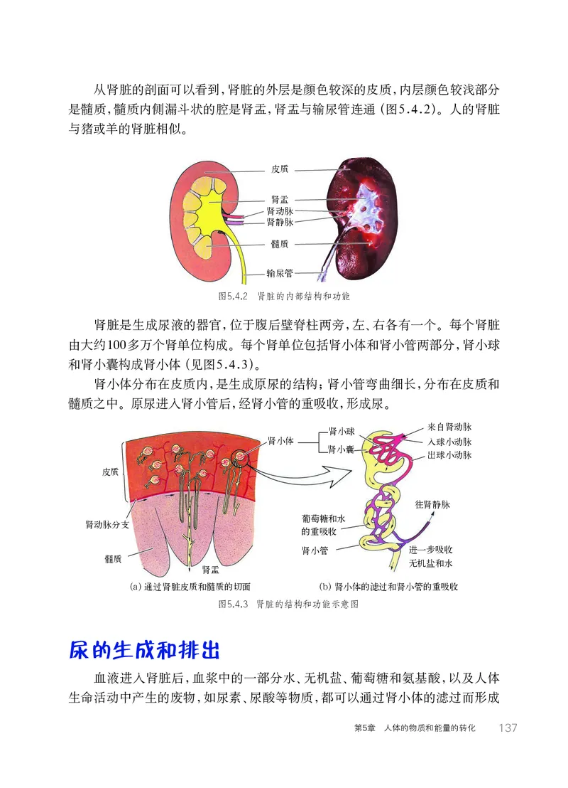 华师大8年级科学上册高清教材_4-教培资料-26年最新资料-同步更新_初中高中教资_03科三专项（进去保存报考的学科即可）_02科三专项（笔记真题思维导图教学设计版本二）