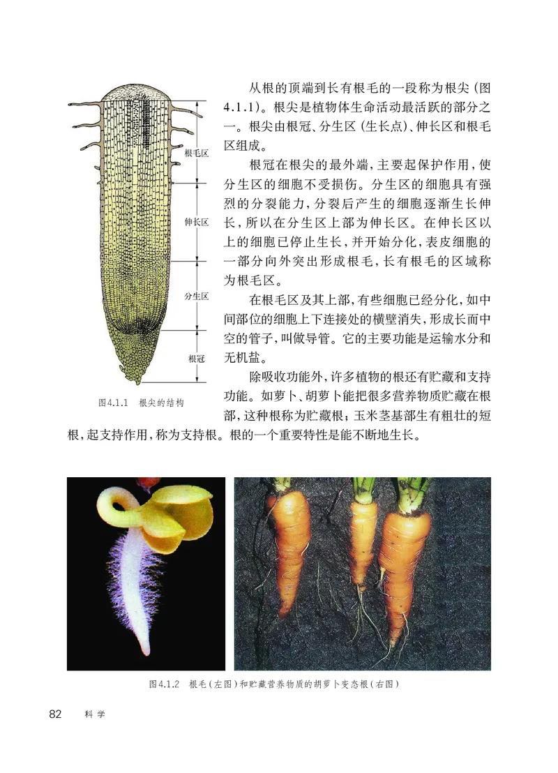 华师大8年级科学上册高清教材_4-教培资料-26年最新资料-同步更新_初中高中教资_03科三专项（进去保存报考的学科即可）_02科三专项（笔记真题思维导图教学设计版本二）