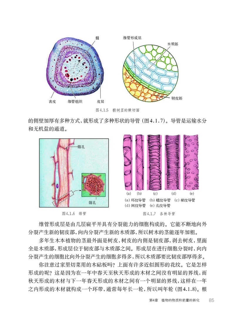 华师大8年级科学上册高清教材_4-教培资料-26年最新资料-同步更新_初中高中教资_03科三专项（进去保存报考的学科即可）_02科三专项（笔记真题思维导图教学设计版本二）