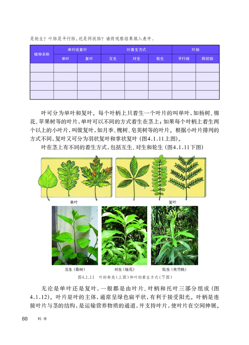 华师大8年级科学上册高清教材_4-教培资料-26年最新资料-同步更新_初中高中教资_03科三专项（进去保存报考的学科即可）_02科三专项（笔记真题思维导图教学设计版本二）