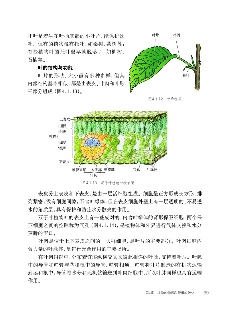 华师大8年级科学上册高清教材_4-教培资料-26年最新资料-同步更新_初中高中教资_03科三专项（进去保存报考的学科即可）_02科三专项（笔记真题思维导图教学设计版本二）