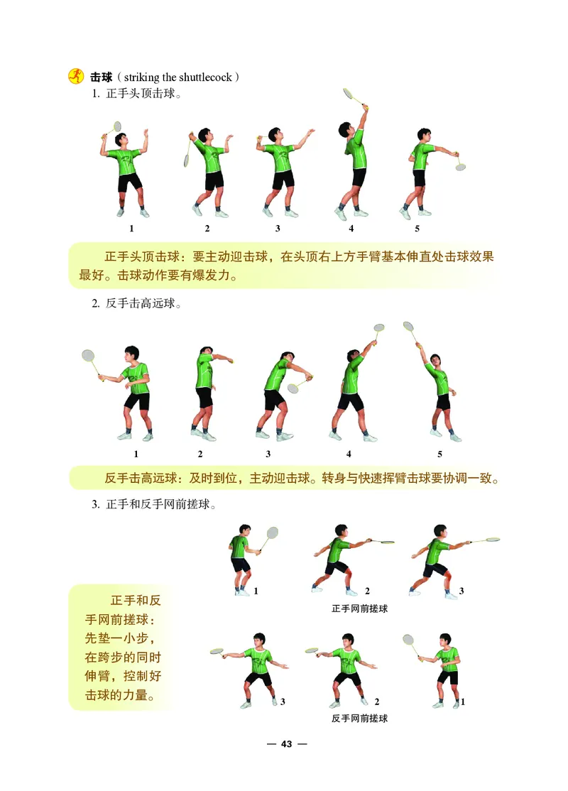 冀教版7年级体育全一册高清教材_4-教培资料-26年最新资料-同步更新_初中高中教资_03科三专项（进去保存报考的学科即可）_02科三专项（笔记真题思维导图教学设计版本二）